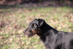 IMG_2002 (Kopie)