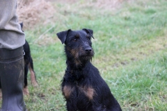 IMG_2233 (Kopie)
