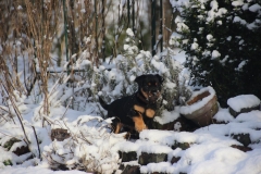 IMG_1806 (Kopie)
