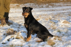 Herkules