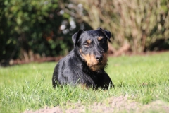 IMG_2799-Kopie