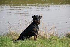 IMG_3717-Kopie