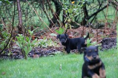 IMG_4460-Kopie