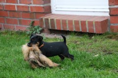 IMG_4489-Kopie