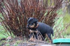 IMG_4506-Kopie