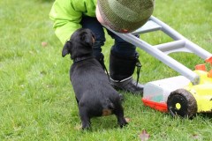 IMG_4469-Kopie