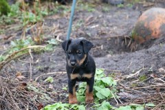 IMG_4507-Kopie