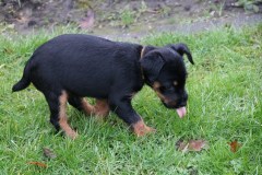IMG_4497-Kopie