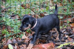IMG_4485-Kopie