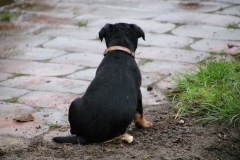 IMG_4516-Kopie