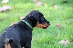 IMG_4409-Kopie