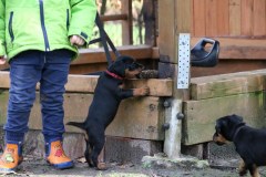 IMG_4407-Kopie