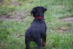 IMG_4520-Kopie