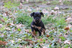 IMG_4381-Kopie