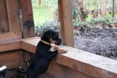 IMG_4413-Kopie