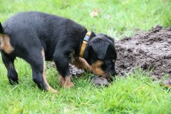 IMG_4487-Kopie