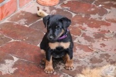 IMG_4472-Kopie