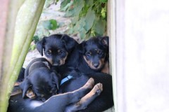 IMG_5699-Kopie