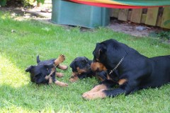 IMG_5715-Kopie