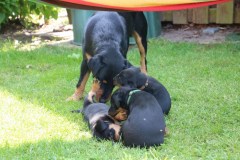 IMG_5718-Kopie
