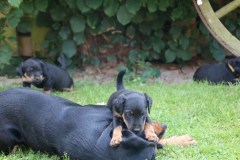 IMG_5728-Kopie