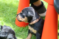 IMG_5183-Kopie
