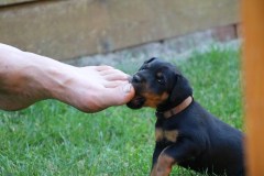 IMG_5598-Kopie