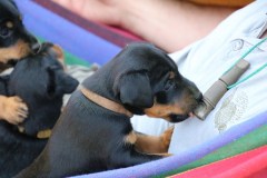 IMG_5759-Kopie