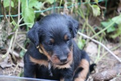 IMG_5235-Kopie