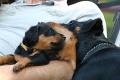 IMG_5525-Kopie