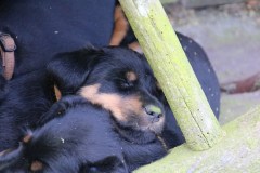 IMG_5660-Kopie