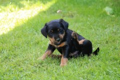 IMG_5694-Kopie
