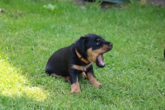 IMG_5714-Kopie