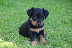 IMG_5722-Kopie
