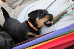 IMG_5761-Kopie