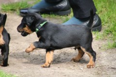 IMG_5403-Kopie