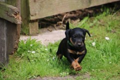 IMG_5405-Kopie