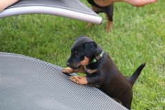 IMG_5592-Kopie