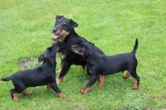 Herkules mit Drago und Donald