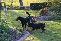 Herki, Tammy und Dana