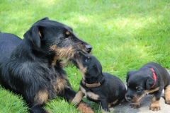 Dana , Erna und Emmi